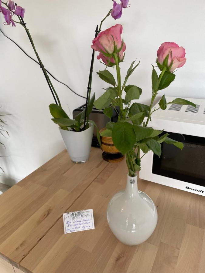 Joli T2, Terrasse Et Jardin, Ideal Pour Familles, A 15 Min De L'Aeroport Roissy Cdg Tremblay-en-France 외부 사진